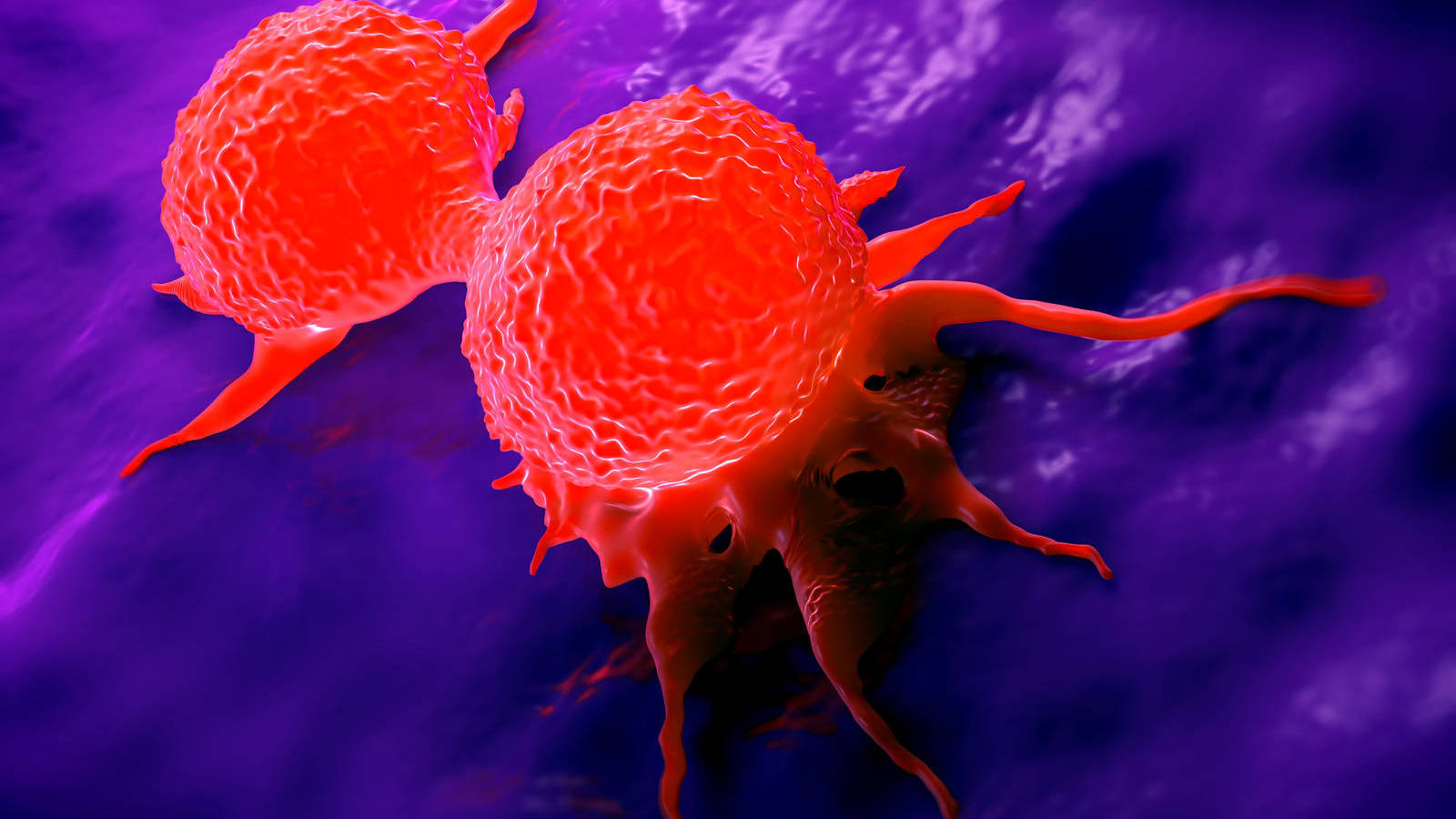 crean un nuevo metodo mas rapido y fiable para estudiar las celulas del cancer