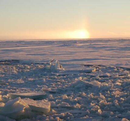 7343 fin del hielo marino artico permanente