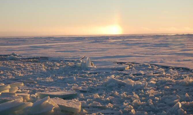7343 fin del hielo marino artico permanente