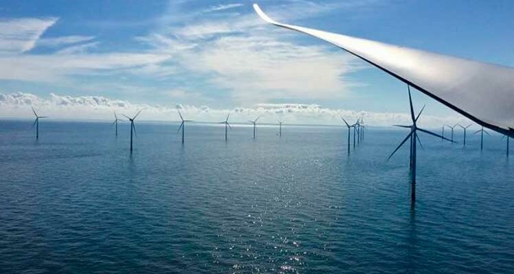 India energia eolica marina