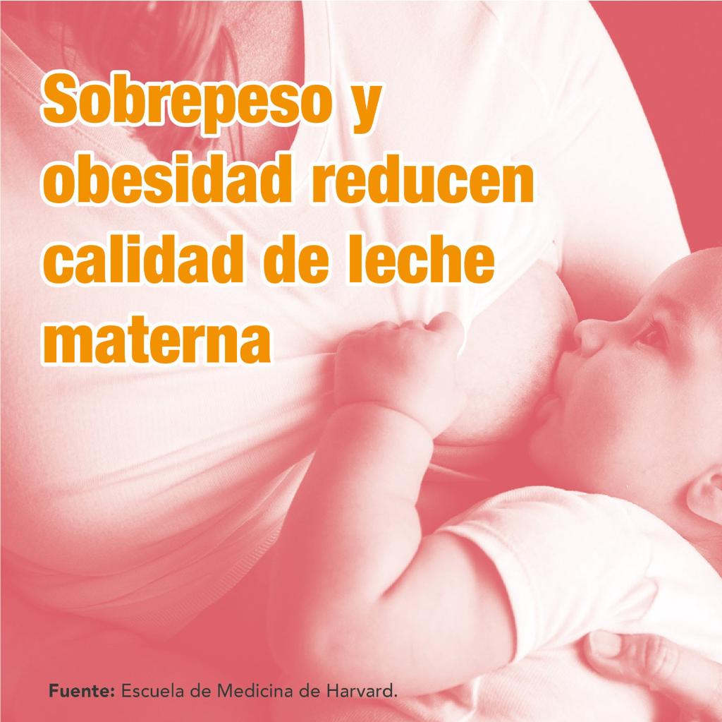 Leche materna contra obesidad