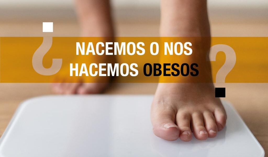 4 de marzo, día mundial de la obesidad