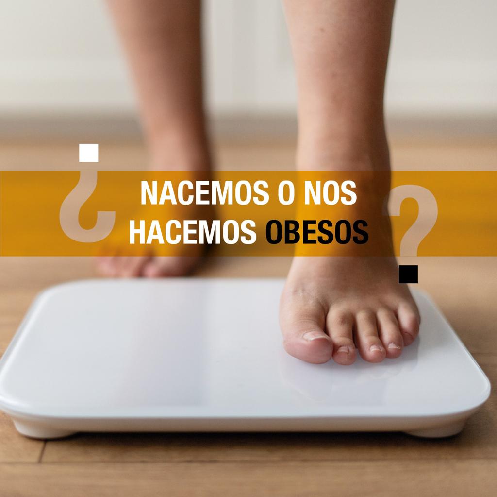 4 de marzo, día mundial de la obesidad