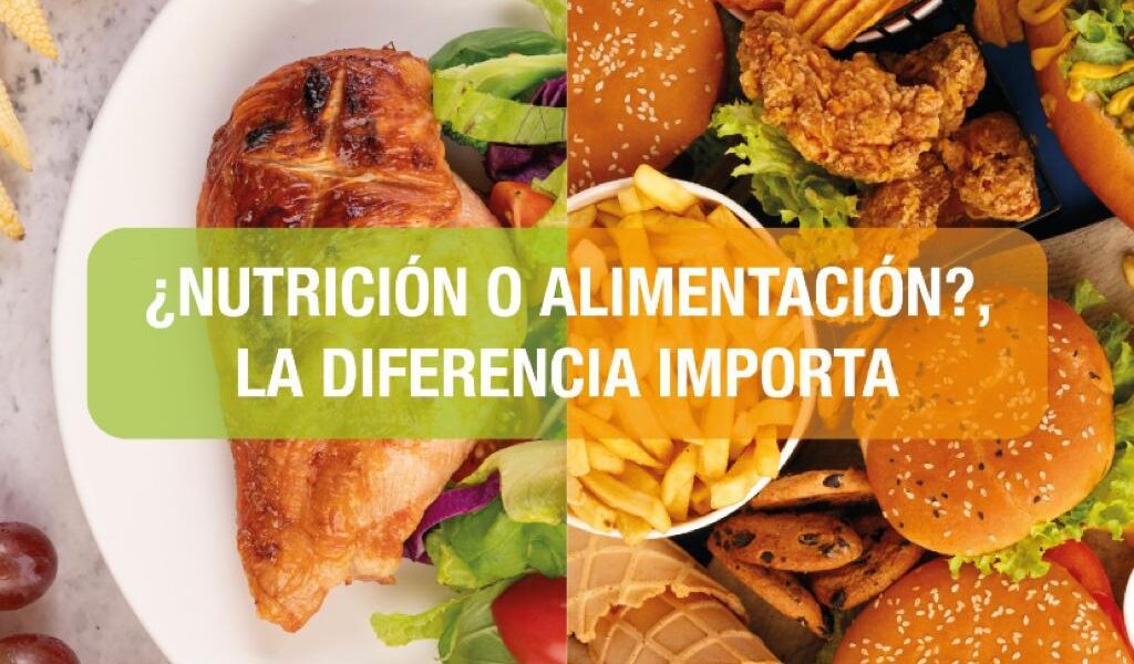 Nutrición o Alimentación