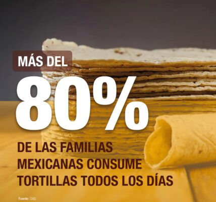 tortilla