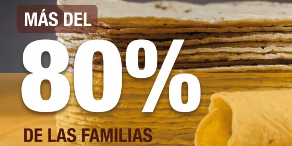 tortilla