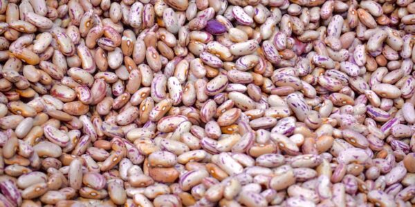 beans