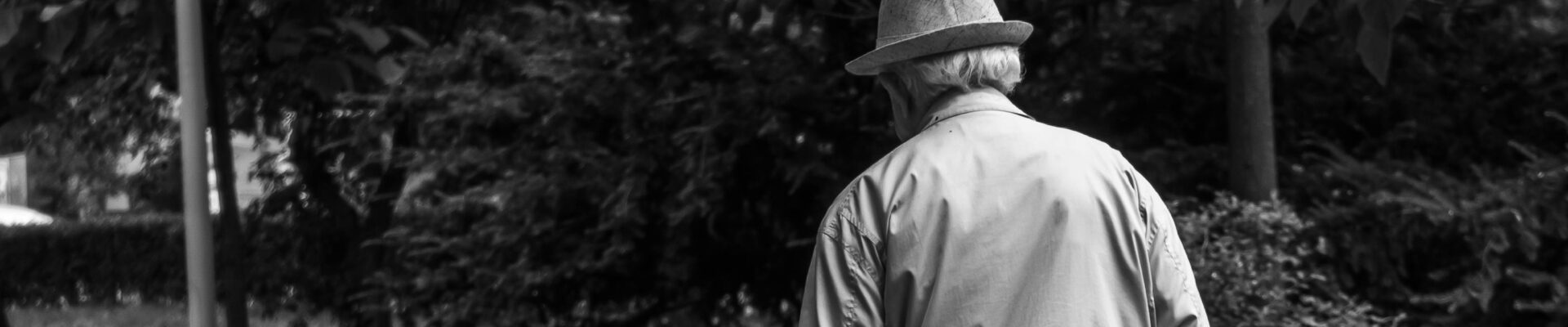 pexels chetanvlad 2586537