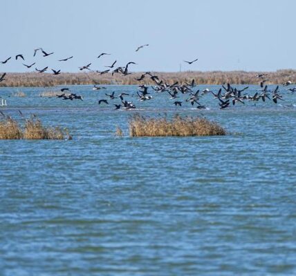 (Multimedia) Río Amarillo cumple 27 años de flujo ininterrumpido 3 1 4 10