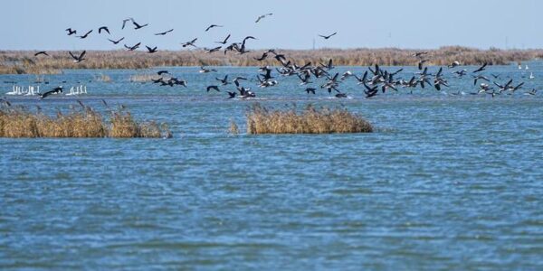 (Multimedia) Río Amarillo cumple 27 años de flujo ininterrumpido 14 1 4 10