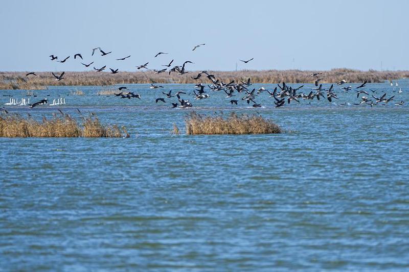 (Multimedia) Río Amarillo cumple 27 años de flujo ininterrumpido 1 1 4 10
