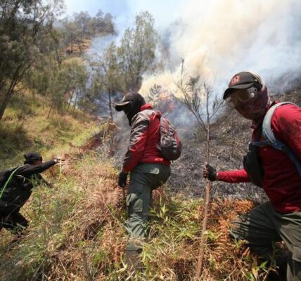 Incendios forestales que afectan más de 107.000 hectáreas en Indonesia 2 102 5