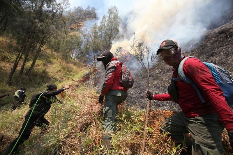 Incendios forestales que afectan más de 107.000 hectáreas en Indonesia 1 102 5