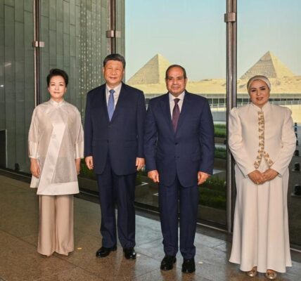 (Multimedia) Canciller chino dice que histórica visita de Xi resalta naturaleza estratégica, líder y ejemplar de lazos China-Egipto 3 11 1 11