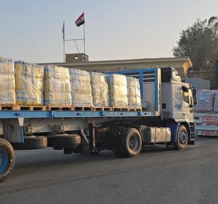 (Multimedia) Egipto y Palestina discuten acuerdo de Gaza y acontecimientos en Cisjordania 3 11 7 9