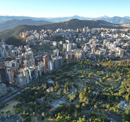 (Multimedia) China se convierte en el segundo mayor socio comercial de Ecuador 1 12 6 8