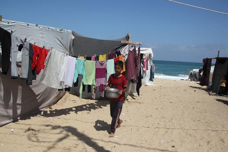 (Multimedia) Israel acepta reapertura condicionada y limitada de cruce de Rafah 1 14 7 2