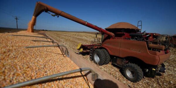 (Multimedia) Brasil prevé expansión agrícola para la cosecha 2025-2026 15 2 4 2