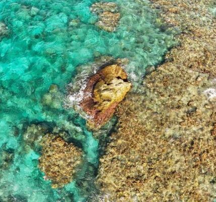 (Multimedia) Ampliación: China publica normas de gestión para Reserva Natural Nacional de Huangyan Dao 3 22 17