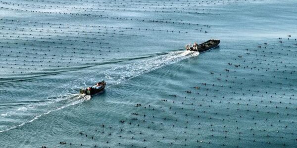 (Multimedia) Economía marina de China registra crecimiento constante en primer semestre de 2026 15 27 16