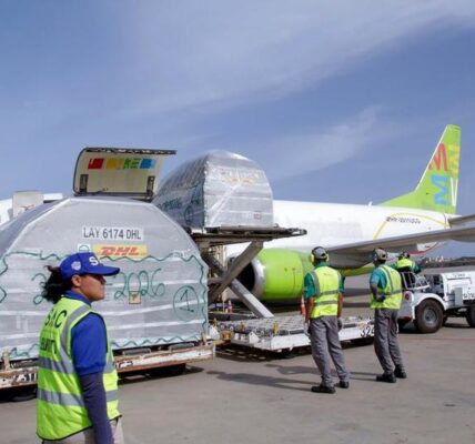 (Multimedia) Realizan simulacro de operación en terminales provisionales del principal aeropuerto de Venezuela tras sismos 1 33 1 9