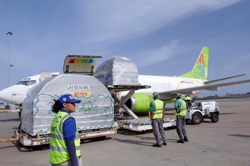 (Multimedia) Realizan simulacro de operación en terminales provisionales del principal aeropuerto de Venezuela tras sismos 1 33 1 9