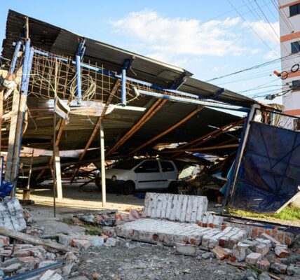(Multimedia) Fuerzas Armadas de Argentina realizan tareas de asistencia humanitaria en Colombia tras sismo 3 4 7 10