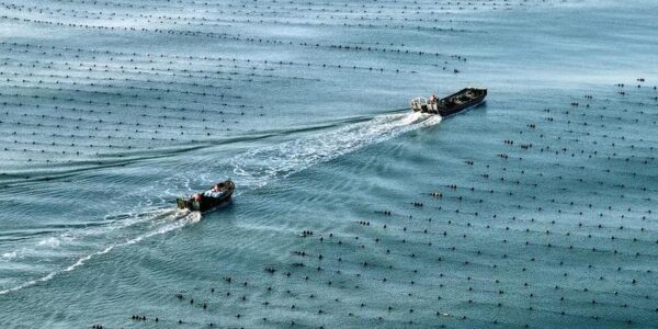 Economía marina de China registra crecimiento constante en primer semestre de 2026 10 49 11