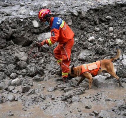 (Multimedia) Comentario de Xinhua: Desastres relacionados con cambio climático ponen de relieve urgente necesidad de acción global 1 5 1 10