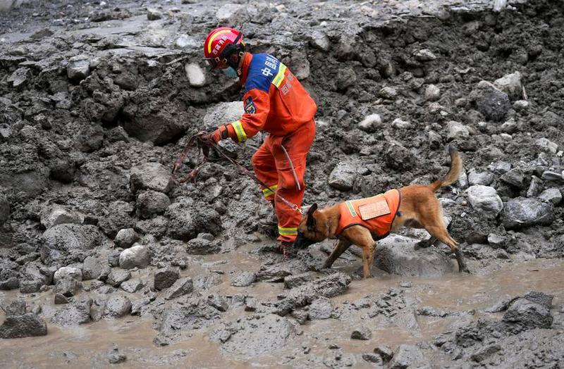 (Multimedia) Comentario de Xinhua: Desastres relacionados con cambio climático ponen de relieve urgente necesidad de acción global 1 5 1 10
