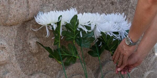 (Multimedia) (Voces del Sur) Opinión de invitado: China, firme defensora y promotora de la paz y el desarrollo mundial 14 5 3 1