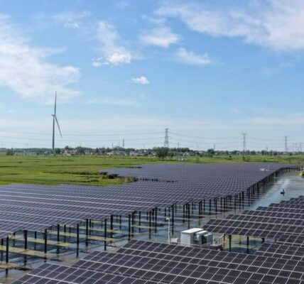 China lanza la primera selección de "líderes en eficiencia de carbono" para industrias clave 3 51 11