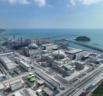 Nueva unidad de energía nuclear Hualong One comienza a operar en sur de China 2 53 9