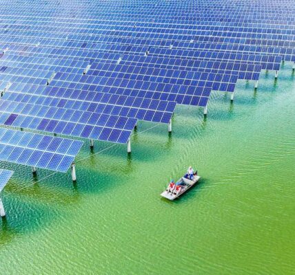 (Multimedia) Capacidad fotovoltaica de China supera por primera vez a energía eléctrica a base de carbón 2 7 21