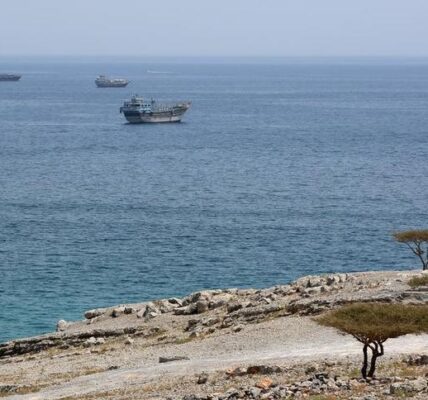 Pakistán respalda esfuerzos para resolver crisis en el estrecho de Ormuz y pide volver al MdE de Islamabad 3 75 6