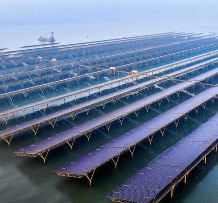 (Multimedia) China supera 930 millones de toneladas de transacciones en mercado nacional de emisiones de carbono 1 9 4 6