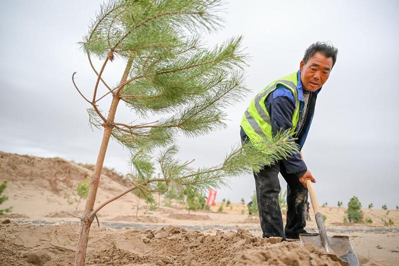 (Multimedia) Entrevista: Bolivia debe buscar en China y el Sur Global respuestas contra la desertificación, según experto boliviano 1 9 5 4