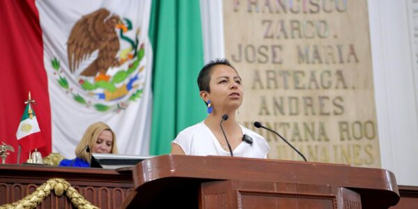 El retiro de las estatuas de Fidel Castro y el Che Guevara fue en respuesta a petición ciudadana: Liz Salgado 16 Liz Salgado