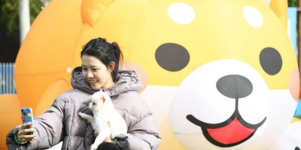 East China's county reboots as pet-economy powerhouse 14 1 1 2