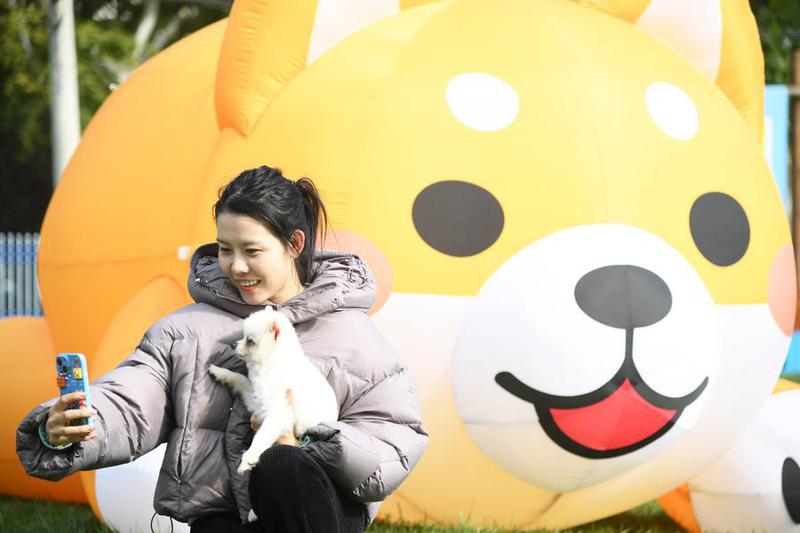East China's county reboots as pet-economy powerhouse 1 1 1 2