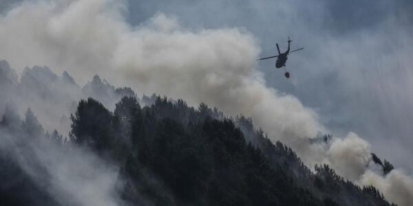 Reportan 18 incendios forestales activos en Colombia 10 167 4