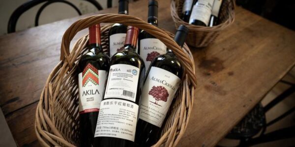 (Multimedia) Empresas argentinas miran a la CIIE como plataforma para ampliar su presencia en China 11 17 7 1