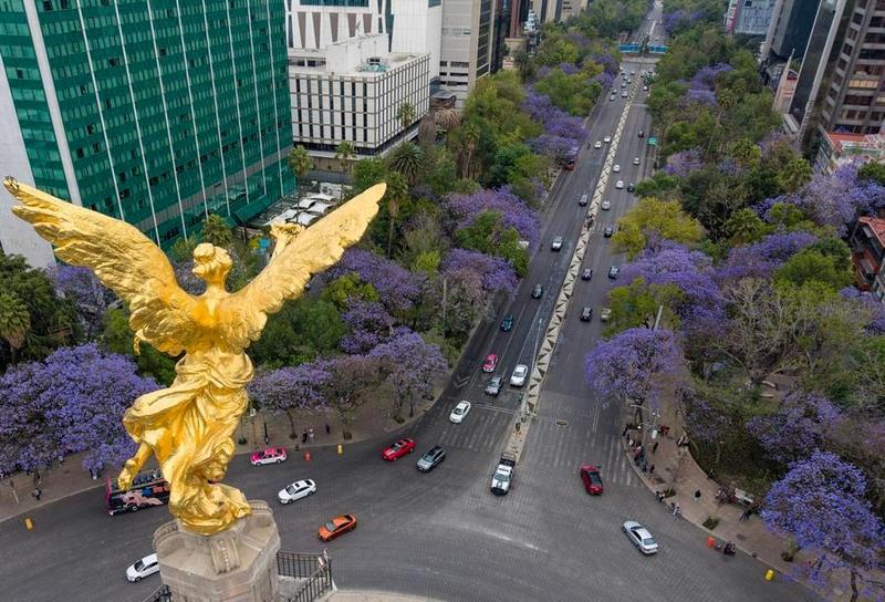 Analistas privados elevan a 1,30% previsión de crecimiento del PIB de México en 2026 1 178 4