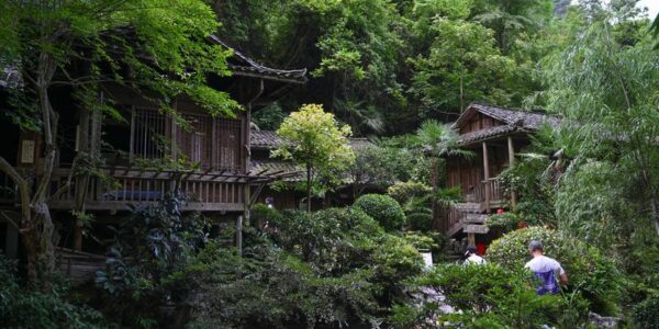 SW China's mountain resorts cash in on heatwave exodus 13 20 1