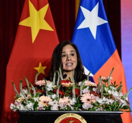 (Multimedia) Entrevista: Igualdad de género es prioridad para la paz y el desarrollo sostenible, afirma subsecretaria de cancillería chilena 2 22 3 2