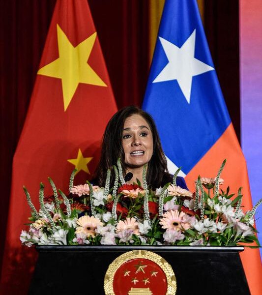 (Multimedia) Entrevista: Igualdad de género es prioridad para la paz y el desarrollo sostenible, afirma subsecretaria de cancillería chilena 1 22 3 2