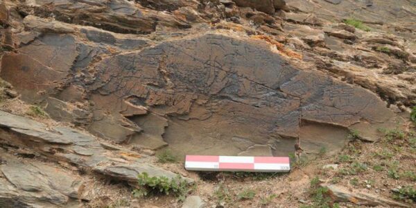 (Multimedia) Descubrimiento de piedra grabada de 2.200 años de antigüedad ilumina civilización china en "techo del mundo" 14 23 3 1