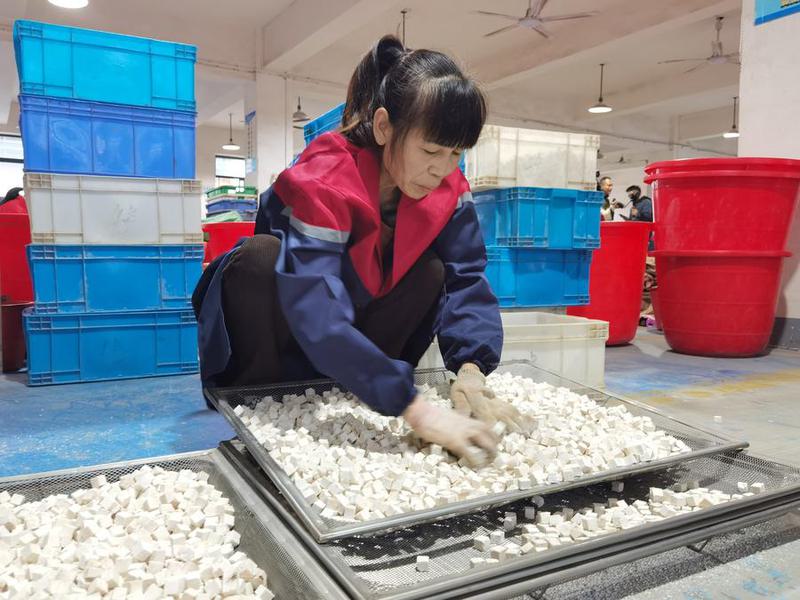 Chinese farmers seek economic gains in forest glades 2 26 1 2