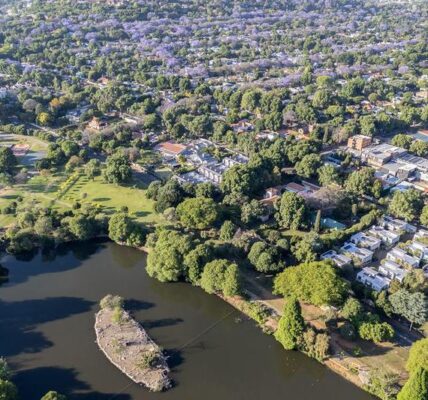In Pics: Jacaranda trees in full bloom in Johannesburg 8 27 1 2