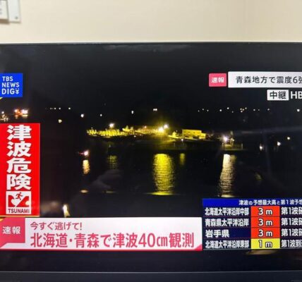 (Multimedia) Reportan tsunami de 40 cm en Aomori y Hokkaido tras terremoto de magnitud 7,6 en noreste de Japón 5 37 6